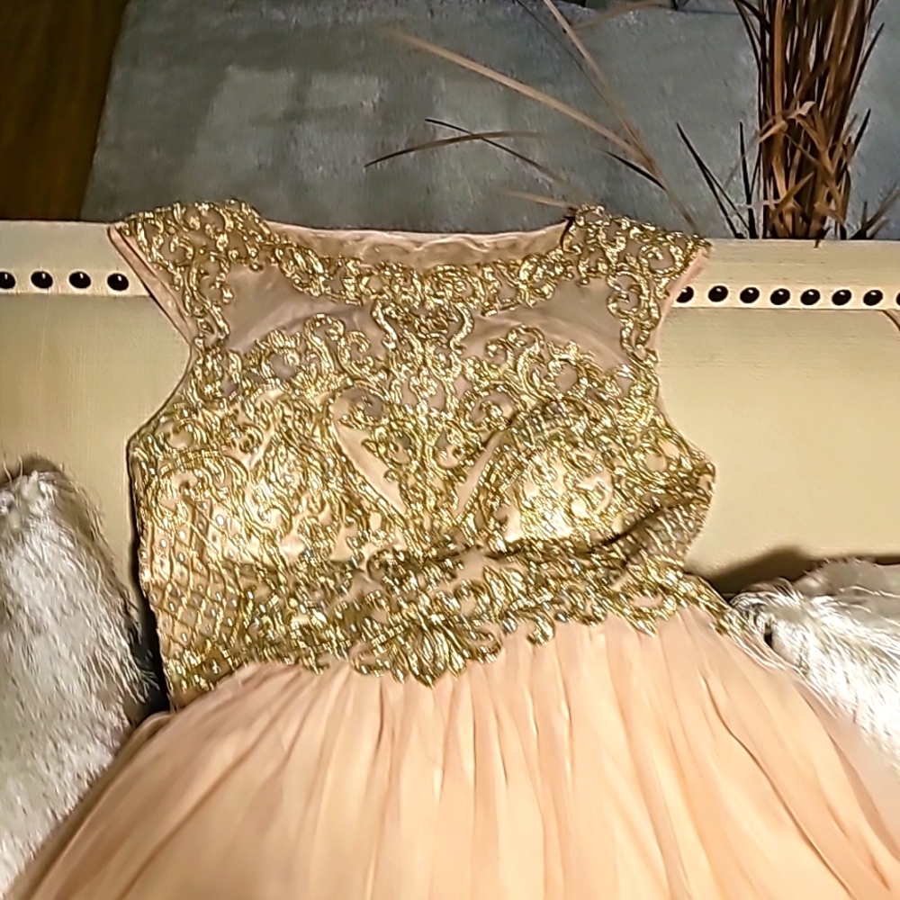 Blush/ Pink /Gold chiffon prom/wedding dress